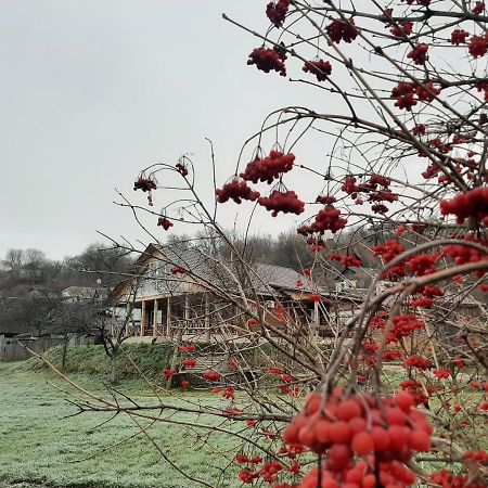 ホテル Гостьовий Дім На Герцена Guest Hous On Gertsena Novhorod-Siverskyi エクステリア 写真