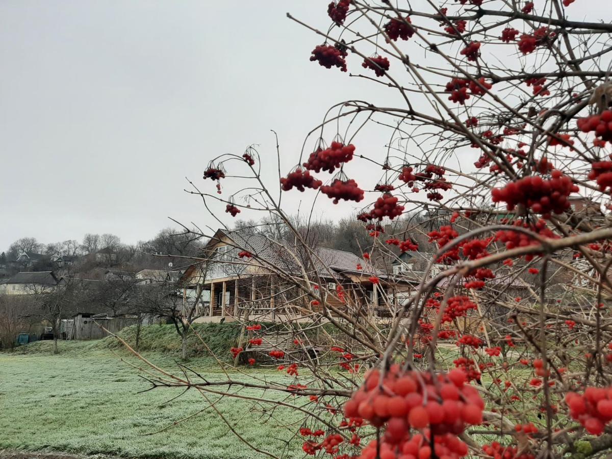 ホテル Гостьовий Дім На Герцена Guest Hous On Gertsena Novhorod-Siverskyi エクステリア 写真