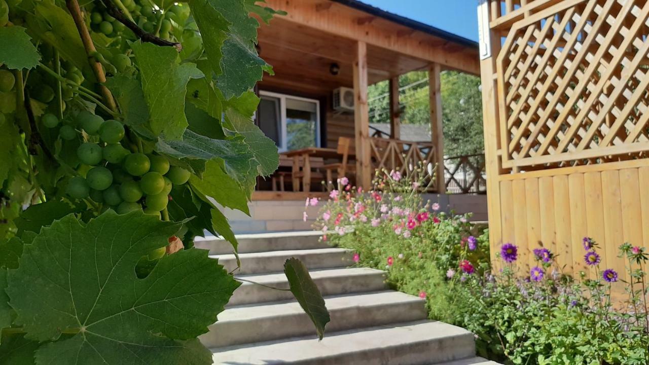 ホテル Гостьовий Дім На Герцена Guest Hous On Gertsena Novhorod-Siverskyi エクステリア 写真